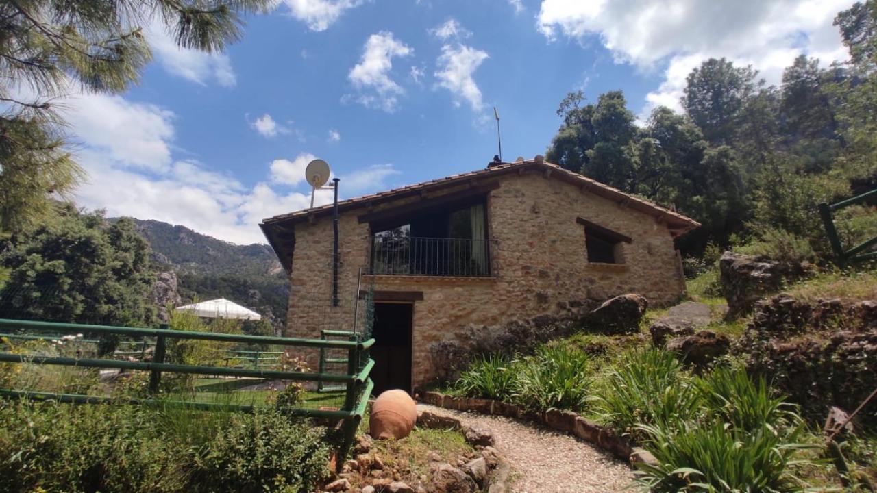 Mas De Rogelio